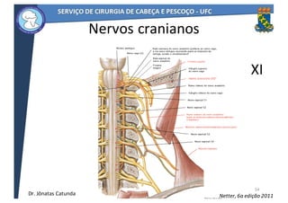 34
XI
Nervos	cranianos
Netter,	6a	edição	2011Dr.	Jônatas	Catunda
 