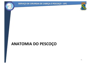 ANATOMIA	DO	PESCOÇO
36
 