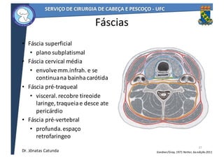 Fáscias
• Fáscia	superficial
• plano	subplatismal
• Fáscia	cervical	média
• envolve	mm.infrah.	e	se	
continua	na	bainha	carótida
• Fáscia	pré-traqueal
• visceral.	recobre	tireoide	
laringe,	traqueia	e	desce	ate	
pericárdio
• Fáscia	pré-vertebral
• profunda.	espaço	
retrofaringeo
37
Netter,	6a	edição	2011Gardner/Gray,	1971Dr.	Jônatas	Catunda
 