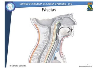 Fáscias
38
Netter,	6a	edição	2011Dr.	Jônatas	Catunda
 