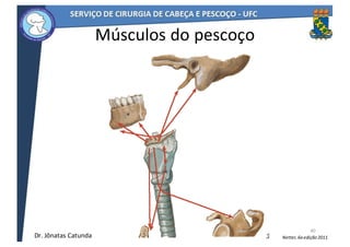 Músculos	do	pescoço
40
Netter,	6a	edição	2011Dr.	Jônatas	Catunda
 
