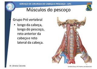 • Grupo	Pré	vertebral
• longo	da	cabeça,	
longo	do	pescoço,	
reto	anterior	da	
cabeça	e	reto	
lateral	da	cabeça.	
42
Músculos	do	pescoço
Netter,	6a	edição	2011Gardner/Gray,	1971Dr.	Jônatas	Catunda
 