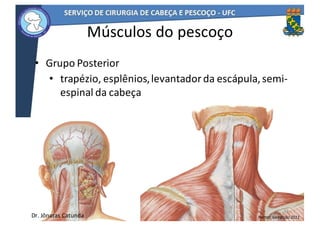 • Grupo	Posterior	
• trapézio,	esplênios,	levantador	da	escápula,	semi-
espinal	da	cabeça
43
Músculos	do	pescoço
Netter,	6a	edição	2011Dr.	Jônatas	Catunda
 