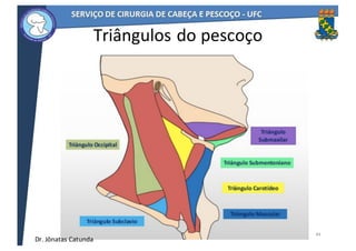 Triângulos	do	pescoço
44
Dr.	Jônatas	Catunda
 
