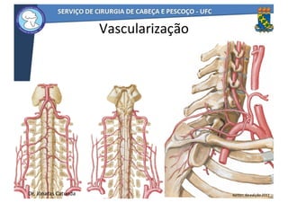 46
Vascularização
Netter,	6a	edição	2011Dr.	Jônatas	Catunda
 