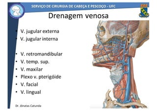 Drenagem	venosa
• V.	jugular	externa
• V.	jugular	interna
• V.	retromandibular	
• V.	temp.	sup.
• V.	maxilar	
• Plexo	v.	pterigóide
• V.	facial	
• V.	lingual	
48
Netter,	6a	edição	2011Dr.	Jônatas	Catunda
 