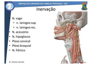 • N.	vago
• n.	laringeo	sup
• n.	laringeo	rec.
• N.	acessório
• N.	hipoglosso
• Plexo	cervical
• Plexo	braquial
• N.	frênico
Inervação
49
Netter,	6a	edição	2011Dr.	Jônatas	Catunda
 