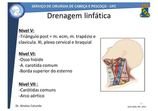 Nivel	V:
-Triângulo	post	=	m.	ecm,	m.	trapézio	e	
clavicula.	XI,	plexo	cervical	e	braquial
Nivel	VI:
-Osso	hióide
-A.	carotida	comum
-Borda	superior	do	esterno	
Nível	VII	:
-Carótidas	comuns
-Arco	aórtico				
52
Drenagem	linfática
Jatin	Shah,	4th,	2012Dr.	Jônatas	Catunda
 