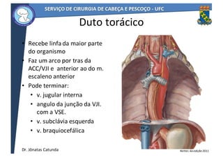 Duto	torácico
• Recebe	linfa	da	maior	parte	
do	organismo
• Faz	um	arco	por	tras	da	
ACC/VJI	e		anterior	ao	do	m.	
escaleno	anterior
• Pode	terminar:
• v.	jugular	interna
• angulo	da	junção	da	VJI.	
com	a	VSE.
• v.	subclávia	esquerda
• v.	braquiocefálica
54
Netter,	6a	edição	2011Dr.	Jônatas	Catunda
 