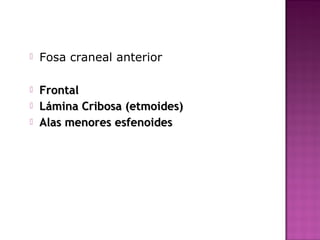  Fosa craneal anterior
 FrontalFrontal
 Lámina Cribosa (etmoides)Lámina Cribosa (etmoides)
 Alas menores esfenoidesAlas menores esfenoides
 