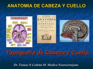 ANATOMIA DE CABEZA Y CUELLO Topografía de Cabeza y Cuello  Dr. Tomas N Cedeño M  Medico Neurocirujano 