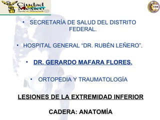 • SECRETARÍA DE SALUD DEL DISTRITO 
FEDERAL. 
• HOSPITAL GENERAL “DR. RUBÉN LEÑERO”. 
• DR. GERARDO MAFARA FLORES. 
• ORTOPEDIA Y TRAUMATOLOGÍA 
LESIONES DE LA EXTREMIDAD INFERIOR 
CADERA: ANATOMÍA 
 