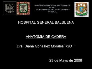 UNIVERSIDAD NACIONAL AUTONOMA DE 
MEXICO 
SECRETARIA DE SALUD DEL DISTRITO 
FEDERAL 
HOSPITAL GENERAL BALBUENA 
ANATOMIA DE CADERA 
Dra. Diana González Morales R2OT 
23 de Mayo de 2006 
 