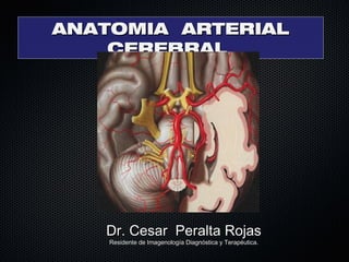 ANATOMIA ARTERIALANATOMIA ARTERIAL
CEREBRALCEREBRAL
Dr. Cesar Peralta RojasDr. Cesar Peralta Rojas
Residente de Imagenología Diagnóstica y Terapéutica.Residente de Imagenología Diagnóstica y Terapéutica.
 