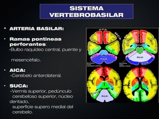 Anatomia de cerebral arterial 