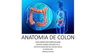 ANATOMIA DE COLON
R2CG OMAR CENTURION SOLANO
HOSPITAL GENERAL REGIONAL NO. 6
INSTITUTO MEXICANO DEL SEGURO SOCIAL
05 ENERO 2022
MODULO COLON
 