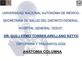 UNIVERSIDAD NACIONAL AUTÓNOMA DE MÉXICO. 
SECRETARÍA DE SALUD DEL DISTRITO FEDERAL. 
HOSPITAL GENERAL “XOCO”. 
DR. GUILLERMO TORRES ARELLANO R2TYO 
ORTOPEDIA Y TRAUMATOLOGÍA 
ANATOMIA COLUMNA 
 