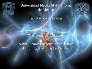 Universidad Nacional Autónoma
           de México

      Facultad de Medicina



     “Anatomía del corazón”

Autor: Rosales Becerra Alma Jessica
  Dr. Enrique Schwanke Padilla.
 