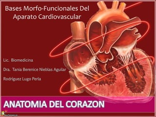 Bases Morfo-Funcionales Del
Aparato Cardiovascular
Lic. Biomedicina
Dra. Tania Berenice Nieblas Aguilar
Rodríguez Lugo Perla
 