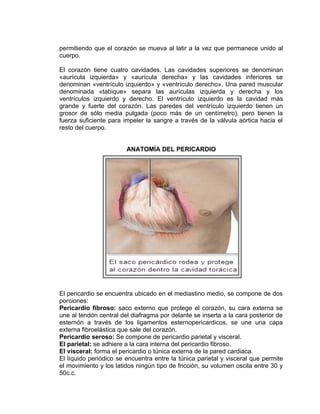 permitiendo que el corazón se mueva al latir a la vez que permanece unido al
cuerpo.

El corazón tiene cuatro cavidades. Las cavidades superiores se denominan
«aurícula izquierda» y «aurícula derecha» y las cavidades inferiores se
denominan «ventrículo izquierdo» y «ventrículo derecho». Una pared muscular
denominada «tabique» separa las aurículas izquierda y derecha y los
ventrículos izquierdo y derecho. El ventrículo izquierdo es la cavidad más
grande y fuerte del corazón. Las paredes del ventrículo izquierdo tienen un
grosor de sólo media pulgada (poco más de un centímetro), pero tienen la
fuerza suficiente para impeler la sangre a través de la válvula aórtica hacia el
resto del cuerpo.


                        ANATOMÍA DEL PERICARDIO




El pericardio se encuentra ubicado en el mediastino medio, se compone de dos
porciones:
Pericardio fibroso: saco externo que protege el corazón, su cara externa se
une al tendón central del diafragma por delante se inserta a la cara posterior de
esternón a través de los ligamentos esternopericardicos, se une una capa
externa fibroelástica que sale del corazón.
Pericardio seroso: Se compone de pericardio parietal y visceral.
El parietal: se adhiere a la cara interna del pericardio fibroso.
El visceral: forma el pericardio o túnica externa de la pared cardiaca.
El líquido periódico se encuentra entre la túnica parietal y visceral que permite
el movimiento y los latidos ningún tipo de fricción, su volumen oscila entre 30 y
50c.c.
 