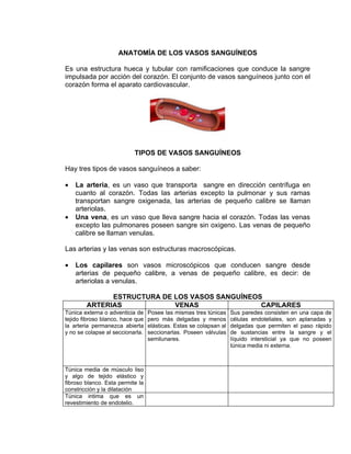 ANATOMÍA DE LOS VASOS SANGUÍNEOS

Es una estructura hueca y tubular con ramificaciones que conduce la sangre
impulsada por acción del corazón. El conjunto de vasos sanguíneos junto con el
corazón forma el aparato cardiovascular.




                           TIPOS DE VASOS SANGUÍNEOS

Hay tres tipos de vasos sanguíneos a saber:

•   La arteria, es un vaso que transporta sangre en dirección centrífuga en
    cuanto al corazón. Todas las arterias excepto la pulmonar y sus ramas
    transportan sangre oxigenada, las arterias de pequeño calibre se llaman
    arteriolas.
•   Una vena, es un vaso que lleva sangre hacia el corazón. Todas las venas
    excepto las pulmonares poseen sangre sin oxigeno. Las venas de pequeño
    calibre se llaman venulas.

Las arterias y las venas son estructuras macroscópicas.

•   Los capilares son vasos microscópicos que conducen sangre desde
    arterias de pequeño calibre, a venas de pequeño calibre, es decir: de
    arteriolas a venulas.

              ESTRUCTURA DE LOS VASOS SANGUÍNEOS
        ARTERIAS            VENAS               CAPILARES
Túnica externa o adventicia de    Posee las mismas tres túnicas     Sus paredes consisten en una capa de
tejido fibroso blanco, hace que   pero más delgadas y menos         células endoteliales, son aplanadas y
la arteria permanezca abierta     elásticas. Estas se colapsan al   delgadas que permiten el paso rápido
y no se colapse al seccionarla.   seccionarlas. Poseen válvulas     de sustancias entre la sangre y el
                                  semilunares.                      líquido intersticial ya que no poseen
                                                                    túnica media ni externa.



Túnica media de músculo liso
y algo de tejido elástico y
fibroso blanco. Esta permite la
constricción y la dilatación
Túnica intima que es un
revestimiento de endotelio.
 