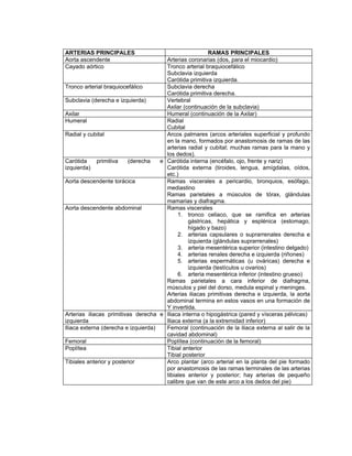 ARTERIAS PRINCIPALES                                    RAMAS PRINCIPALES
Aorta ascendente                       Arterias coronarias (dos, para el miocardio)
Cayado aórtico                         Tronco arterial braquiocefálico
                                       Subclavia izquierda
                                       Carótida primitiva izquierda.
Tronco arterial braquiocefálico        Subclavia derecha
                                       Carótida primitiva derecha.
Subclavia (derecha e izquierda)        Vertebral
                                       Axilar (continuación de la subclavia)
Axilar                                 Humeral (continuación de la Axilar)
Humeral                                Radial
                                       Cubital
Radial y cubital                       Arcos palmares (arcos arteriales superficial y profundo
                                       en la mano, formados por anastomosis de ramas de las
                                       arterias radial y cubital; muchas ramas para la mano y
                                       los dedos).
Carótida     primitiva    (derecha   e Carótida interna (encéfalo, ojo, frente y nariz)
izquierda)                             Carótida externa (tiroides, lengua, amígdalas, oídos,
                                       etc.)
Aorta descendente torácica             Ramas viscerales a pericardio, bronquios, esófago,
                                       mediastino
                                       Ramas parietales a músculos de tórax, glándulas
                                       mamarias y diafragma.
Aorta descendente abdominal            Ramas viscerales
                                            1. tronco celiaco, que se ramifica en arterias
                                                gástricas, hepática y esplénica (estomago,
                                                hígado y bazo)
                                            2. arterias capsulares o suprarrenales derecha e
                                                izquierda (glándulas suprarrenales)
                                            3. arteria mesentérica superior (intestino delgado)
                                            4. arterias renales derecha e izquierda (riñones)
                                            5. arterias espermáticas (u ováricas) derecha e
                                                izquierda (testículos u ovarios)
                                            6. arteria mesentérica inferior (intestino grueso)
                                       Ramas parietales a cara inferior de diafragma,
                                       músculos y piel del dorso, medula espinal y meninges.
                                       Arterias iliacas primitivas derecha e izquierda, la aorta
                                       abdominal termina en estos vasos en una formación de
                                       Y invertida.
Arterias iliacas primitivas derecha e Iliaca interna o hipogástrica (pared y vísceras pélvicas)
izquierda                              Iliaca externa (a la extremidad inferior)
Iliaca externa (derecha e izquierda)   Femoral (continuación de la iliaca externa al salir de la
                                       cavidad abdominal)
Femoral                                Poplítea (continuación de la femoral)
Poplítea                               Tibial anterior
                                       Tibial posterior
Tibiales anterior y posterior          Arco plantar (arco arterial en la planta del pie formado
                                       por anastomosis de las ramas terminales de las arterias
                                       tibiales anterior y posterior; hay arterias de pequeño
                                       calibre que van de este arco a los dedos del pie)
 