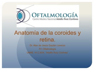 Anatomía de la coroides y
retina.
Dr. Alan de Jesús Gaytán Lorenzo
R1 Oftalmología
UMAE 14 C.M.N. “Adolfo Ruiz Cortines”
 