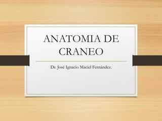 ANATOMIA DE
CRANEO
Dr. José Ignacio Maciel Fernández.

 