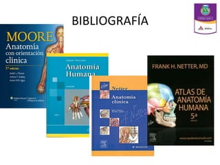 BIBLIOGRAFÍA
 