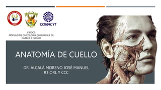 ANATOMÍA DE CUELLO
DR. ALCALÁ MORENO JOSÉ MANUEL
R1 ORL Y CCC
CIDOCS
MÓDULO DE ONCOLOGÍA QUIRÚRGICA DE
CABEZA Y CUELLO
 