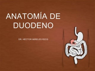 ANATOMÍA DE
DUODENO
DR. HÉCTOR MIRELES R2CG
 