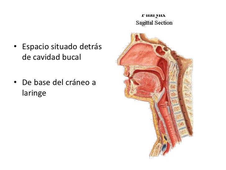 Detras de la universidad 4