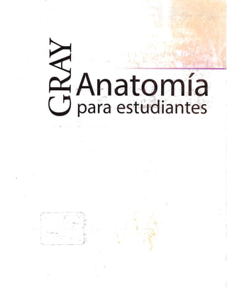 Anatomia de gray_01