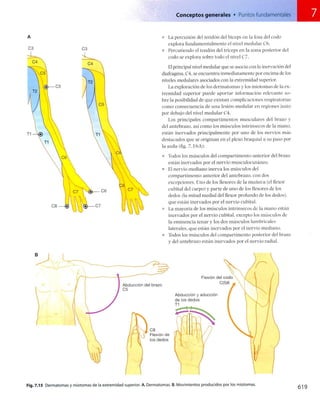 Anatomia de gray_08