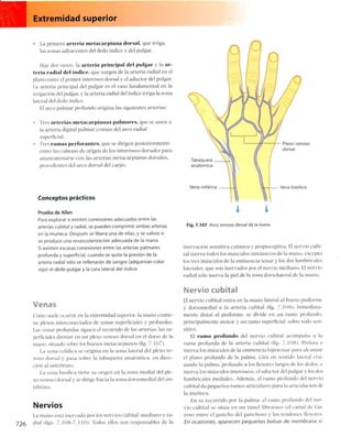 Anatomia de gray_08