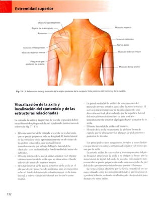 Anatomia de gray_08