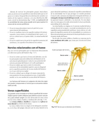 Anatomia de gray_08