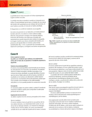Anatomia de gray_08