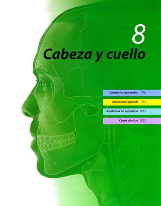 Anatomia de gray_08