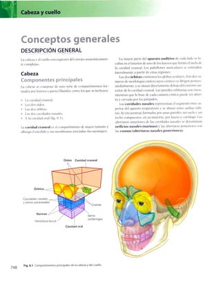 Anatomia de gray_08