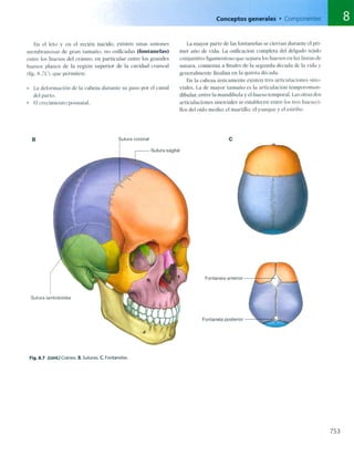 Anatomia de gray_08