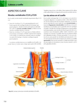 Anatomia de gray_08