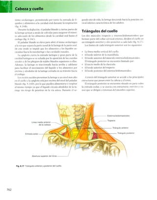 Anatomia de gray_08