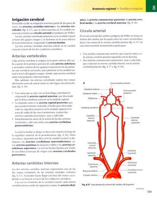 Anatomia de gray_08