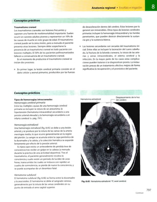 Anatomia de gray_08