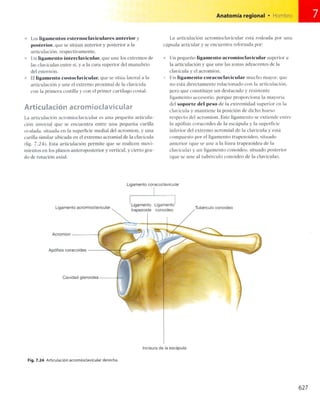 Anatomia de gray_08