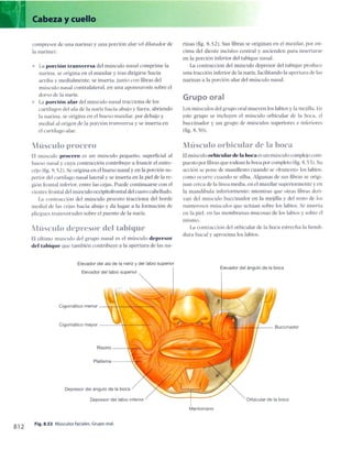 Anatomia de gray_08