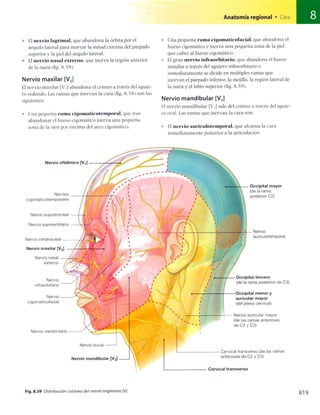 Anatomia de gray_08
