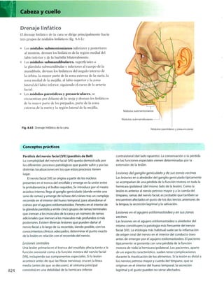 Anatomia de gray_08