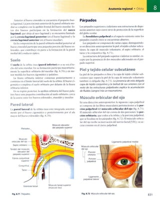 Anatomia de gray_08
